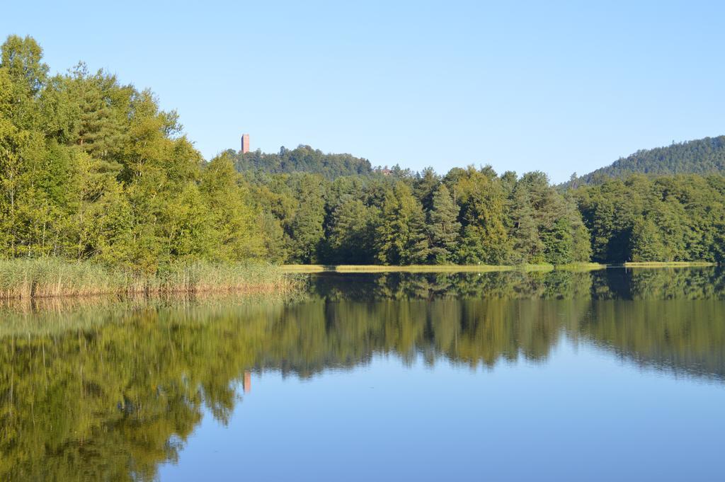 Le Gite De L'Ecureuil Sturzelbronn Exterior foto