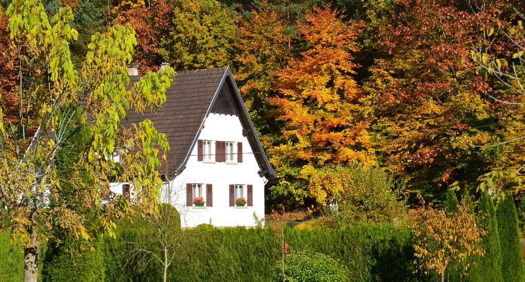 Le Gite De L'Ecureuil Sturzelbronn Exterior foto