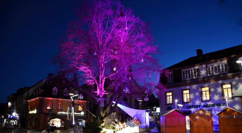 Le Gite De L'Ecureuil Sturzelbronn Exterior foto