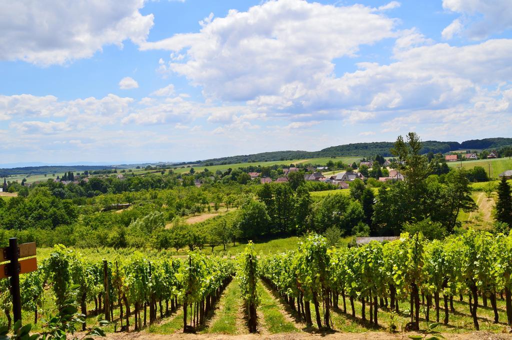 Le Gite De L'Ecureuil Sturzelbronn Exterior foto