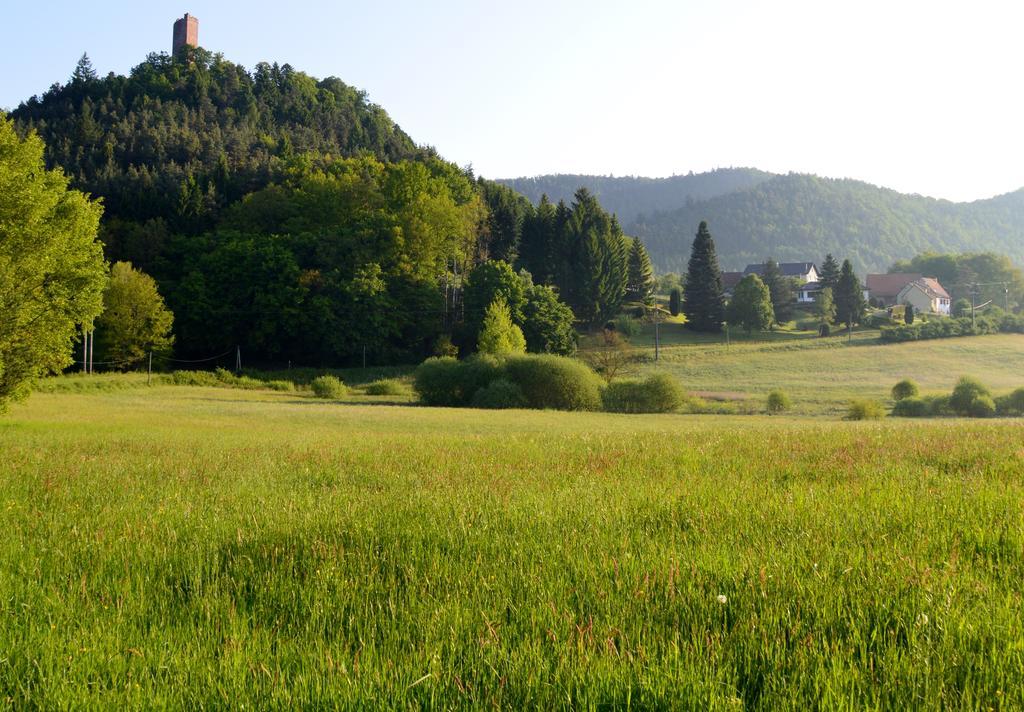 Le Gite De L'Ecureuil Sturzelbronn Exterior foto