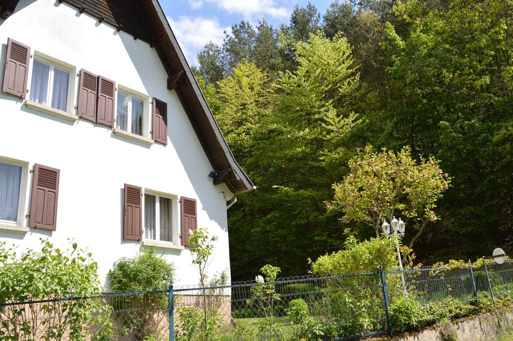 Le Gite De L'Ecureuil Sturzelbronn Exterior foto