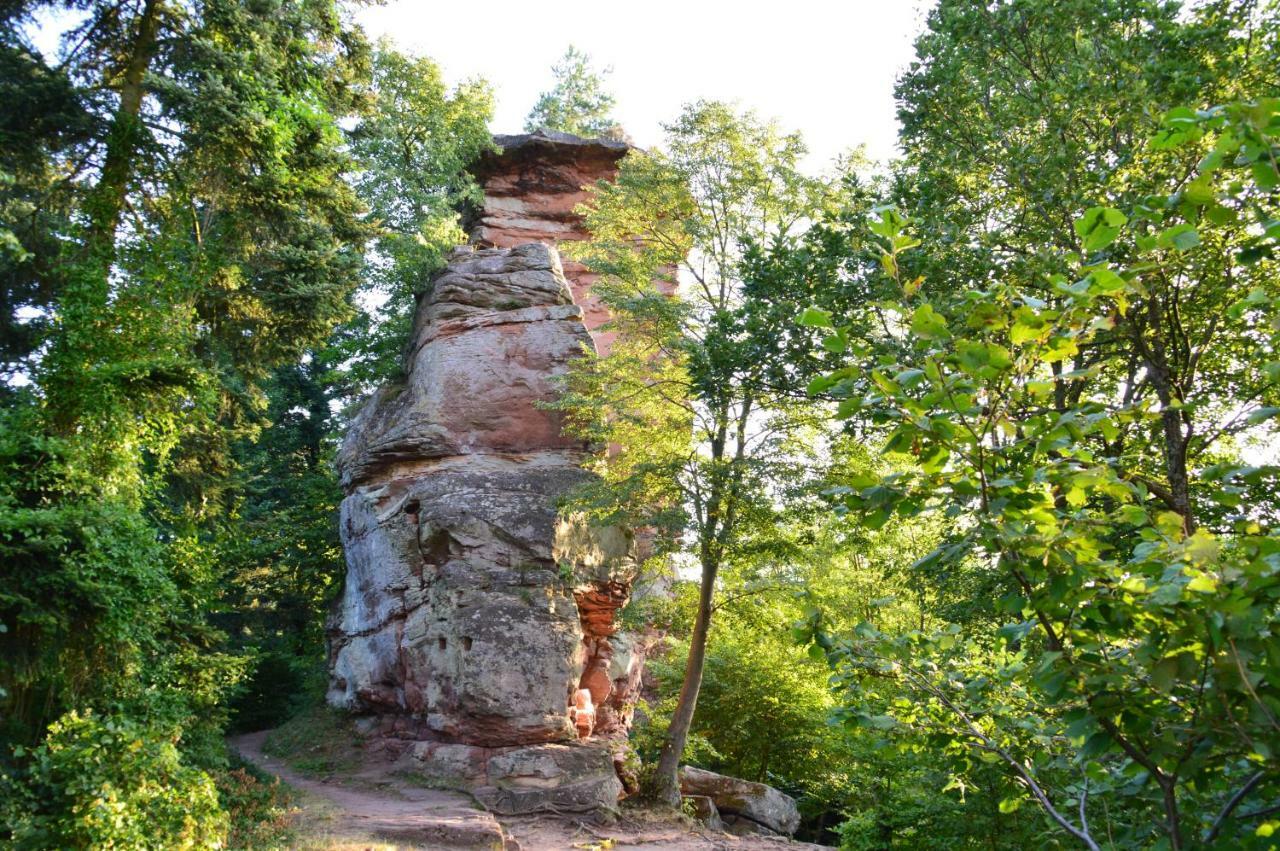 Le Gite De L'Ecureuil Sturzelbronn Exterior foto