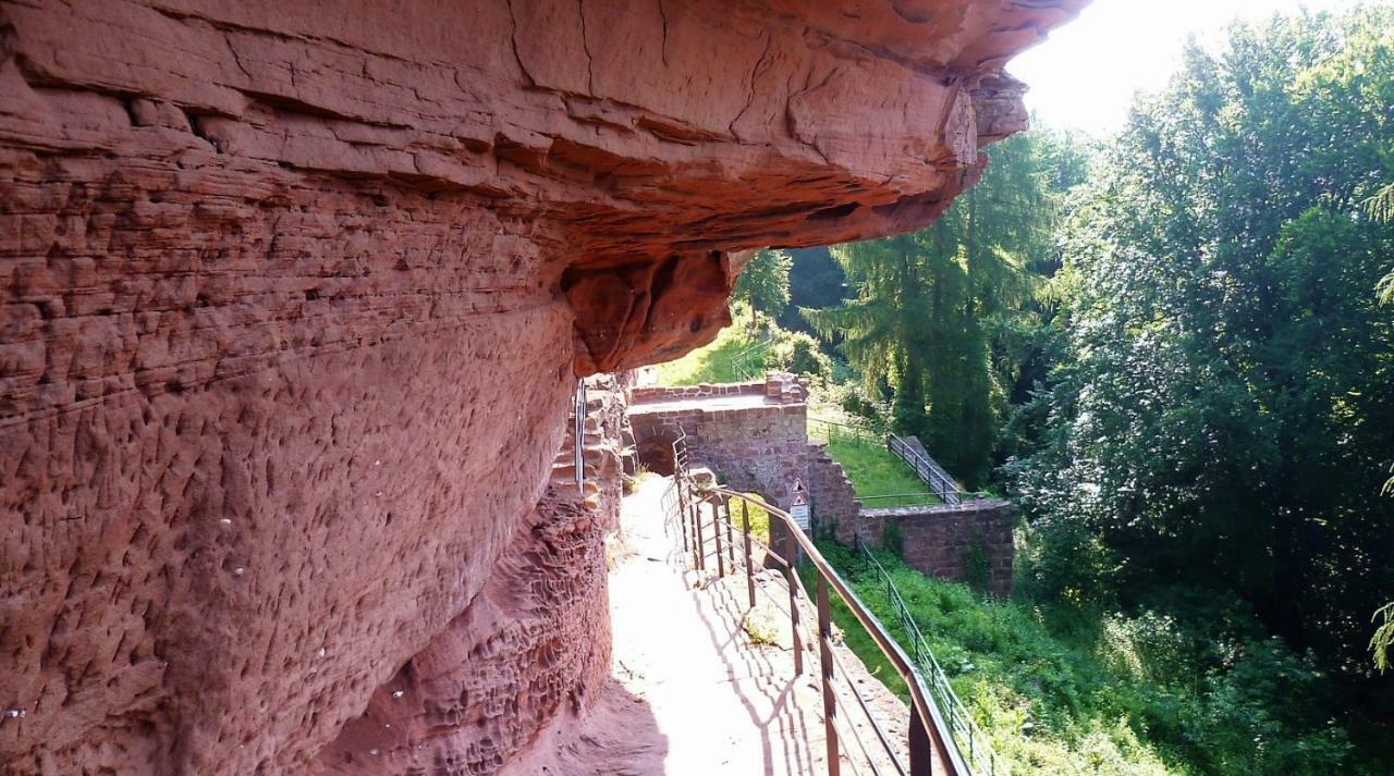 Le Gite De L'Ecureuil Sturzelbronn Exterior foto